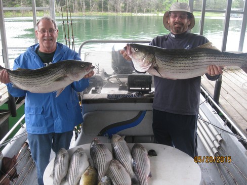 Nice Striped Bass